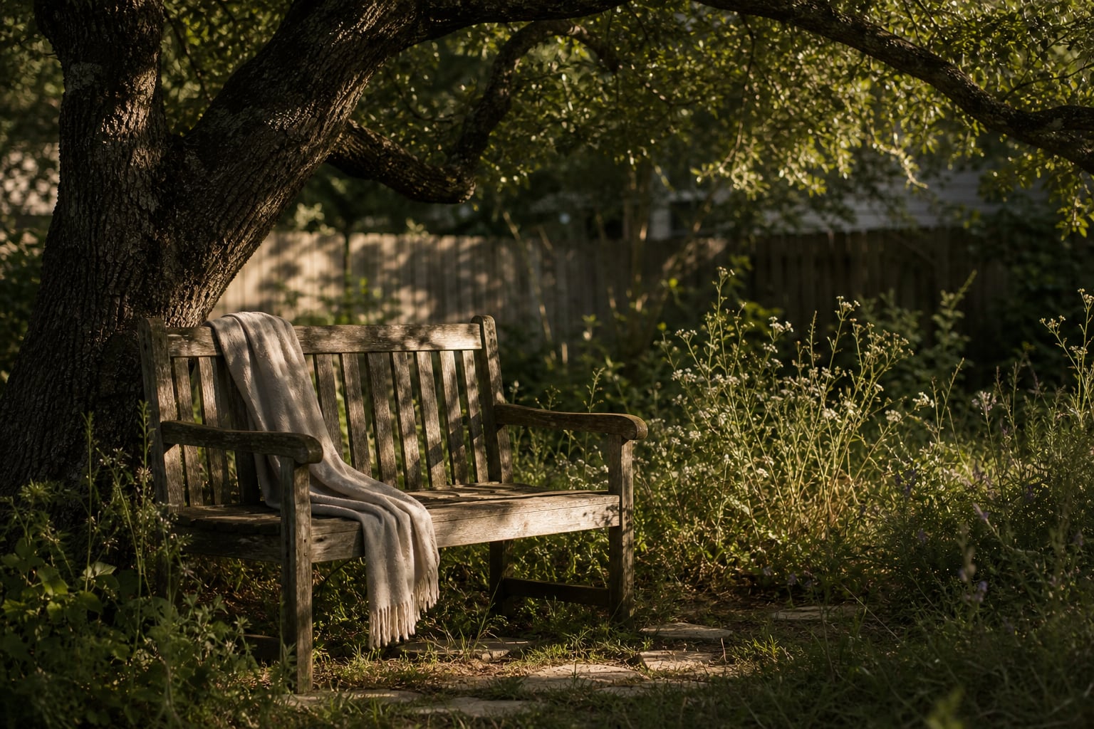 A wooden bench under a live oak in dappled afternoon light, a light shawl over its back